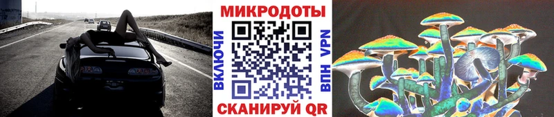 Галлюциногенные грибы мицелий  Новая Усмань 